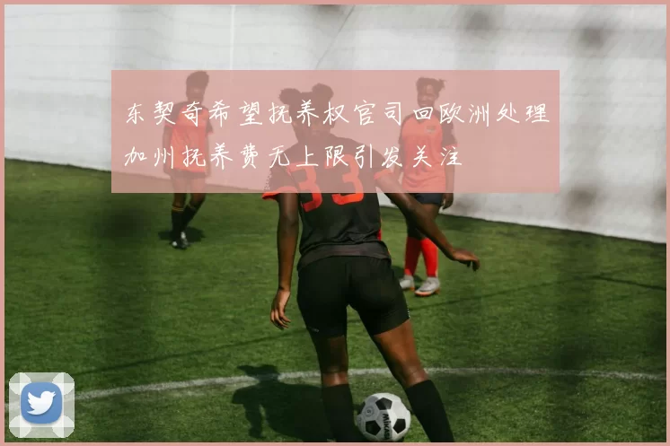 东契奇希望抚养权官司回欧洲处理加州抚养费无上限引发关注